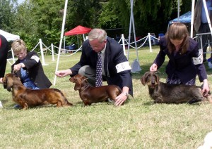 Hound Group - BelVernon Show 2008