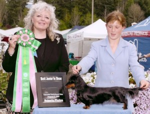 Best Junior Handler, CDC Specialty 2007