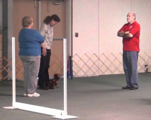 Dachshund Obedience